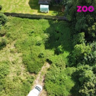 Prodej stavební parcely 1 039 m² Čermná ve Slezsku