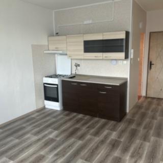 Prodej bytu 1+1 35 m² Kadaň, Na Podlesí