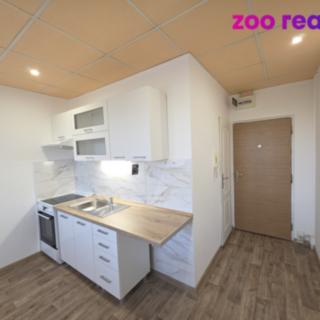 Pronájem bytu 1+1 35 m² Chomutov