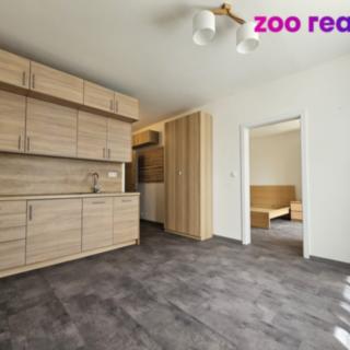 Pronájem bytu 1+1 35 m² Litvínov Horní, Mostecká