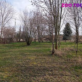 Prodej stavební parcely 4 338 m² Slepotice