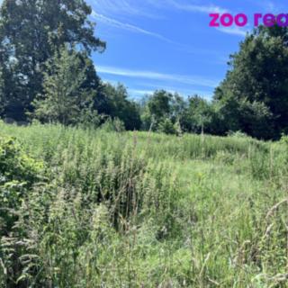Prodej stavební parcely 1039 m² Čermná ve Slezsku
