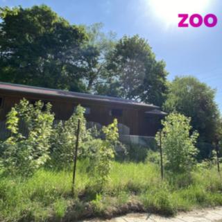 Pronájem zemědělské usedlosti 125 m² Málkov