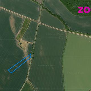 Prodej zemědělské půdy 4016 m² Poděbrady