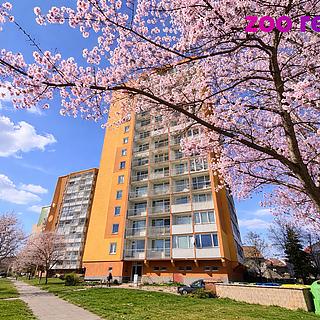 Prodej bytu 2+1 56 m&sup2; Chomutov