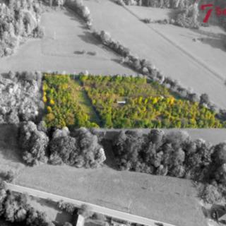 Prodej zemědělské půdy 10342 m² Koroužné