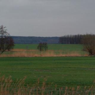 Prodej zemědělské půdy 1 085 m² Osek
