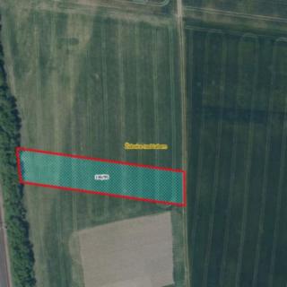 Prodej zemědělské půdy 2455 m² Židovice