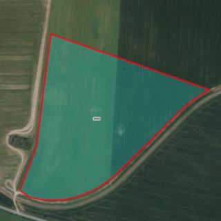 Prodej zemědělské půdy 100774 m² Ronov nad Doubravou