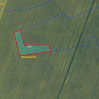 Prodej zemědělské půdy 4225 m² Štětí