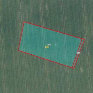 Prodej zemědělské půdy 3568 m² Hoštka