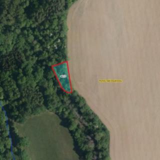 Prodej lesa 964 m² Ronov nad Doubravou