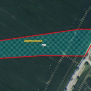 Prodej zemědělské půdy 9484 m² Podsedice