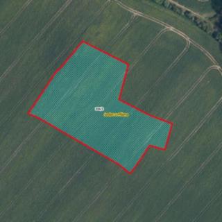 Prodej zemědělské půdy 9070 m² Mšeno