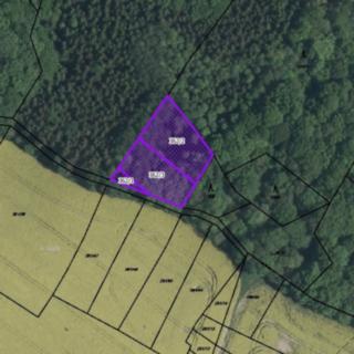 Prodej lesa 1 830 m² Zelenecká Lhota