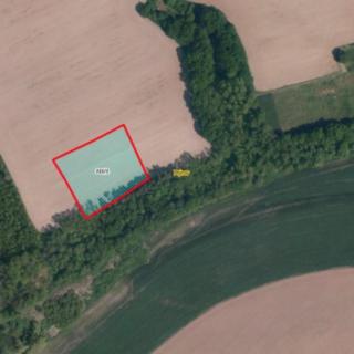 Prodej zemědělské půdy 5325 m² Ptýrov