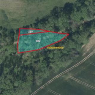 Prodej louky 1 370 m² Markvartice