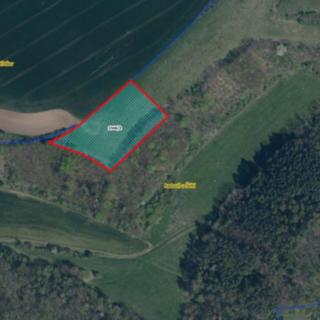 Prodej zemědělské půdy 4998 m² Račice