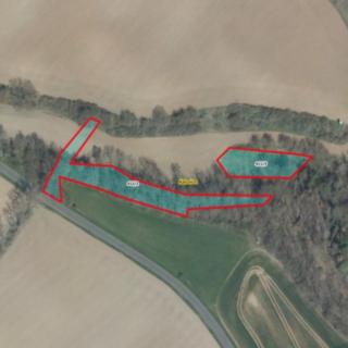 Prodej lesa 1455 m² Úštěk