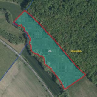 Prodej louky 20 868 m² Jičíněves