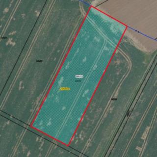 Prodej zemědělské půdy 4960 m² Bakov nad Jizerou