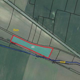 Prodej zemědělské půdy 6563 m² Černuc