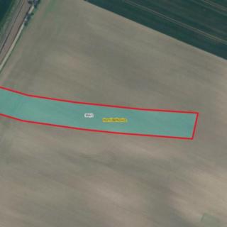 Prodej zemědělské půdy 7 007 m² Horní Beřkovice