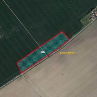 Prodej zemědělské půdy 25 308 m² Lužec nad Cidlinou
