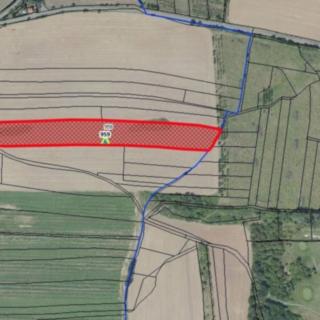 Prodej zemědělské půdy 18323 m² Vitice