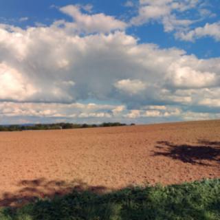 Prodej zemědělské půdy 4580 m² Šebestěnice