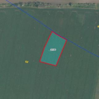 Prodej zemědělské půdy 5543 m² Uhy