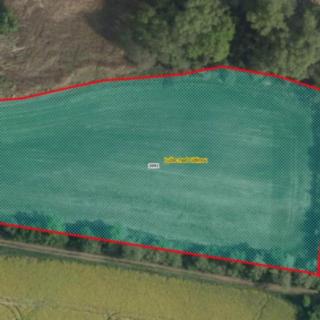 Prodej zemědělské půdy 10 239 m² Lužec nad Cidlinou