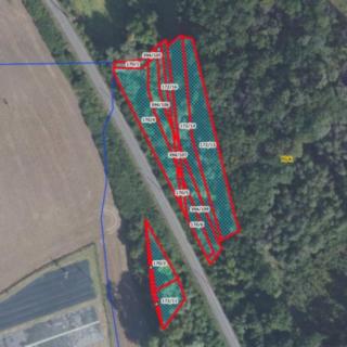 Prodej lesa 5 736 m² Poděbrady Kluk