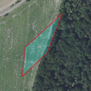 Prodej zemědělské půdy 3863 m² Velenice