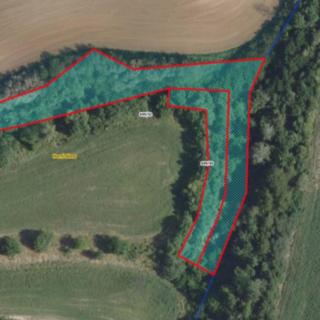 Prodej ostatních pozemků 1117 m² Horní Slivno
