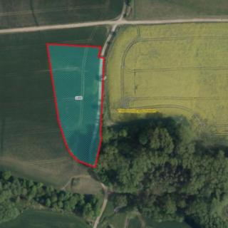 Prodej zemědělské půdy 3 666 m² Třebechovice pod Orebem