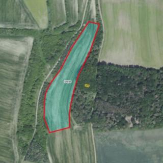 Prodej zemědělské půdy 12574 m² Uhy
