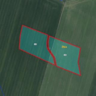 Prodej zemědělské půdy 1 656 m² Jenišovice