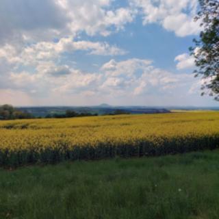 Prodej zemědělské půdy 6006 m² Štětí