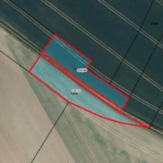 Prodej zemědělské půdy 2597 m² Sukorady