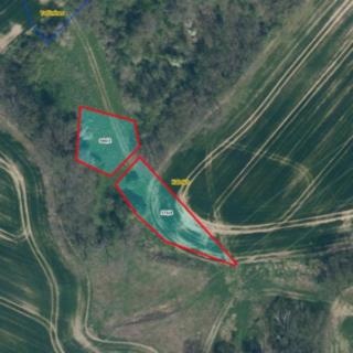Prodej louky 1632 m² Úštěk