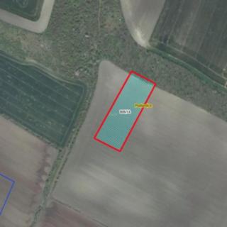 Prodej zemědělské půdy 5434 m² Podsedice
