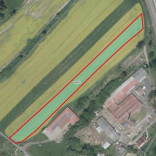 Prodej zemědělské půdy 6882 m² Bílá Třemešná