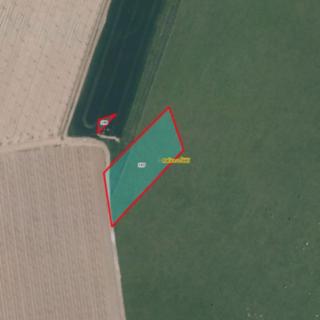 Prodej zemědělské půdy 4020 m² Račice