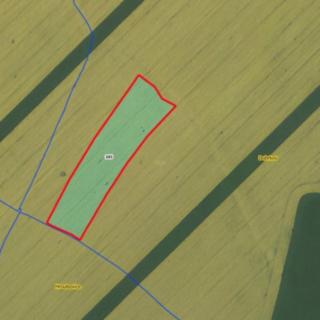 Prodej zemědělské půdy 18 874 m² Luže