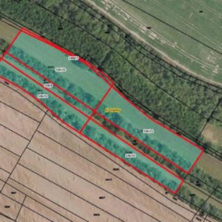 Prodej zemědělské půdy 10351 m² Kochánky