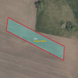 Prodej zemědělské půdy 3 400 m² Sloupno