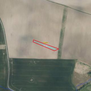 Prodej zemědělské půdy 2 975 m² Trusnov