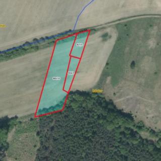 Prodej zemědělské půdy 5562 m² Rabakov