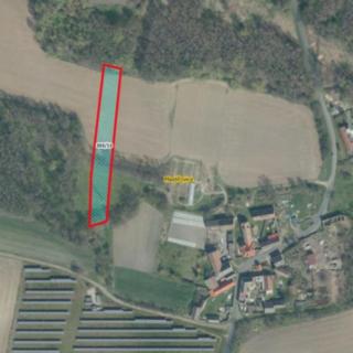 Prodej zemědělské půdy 3705 m² Vrbice